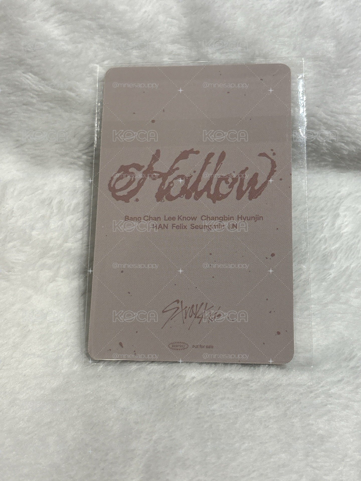 HOLLOW SONY特典卡 彬