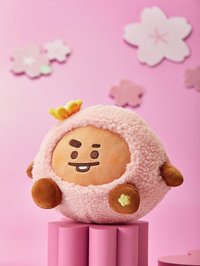 BT21 中娃 日限 Spring Day系列