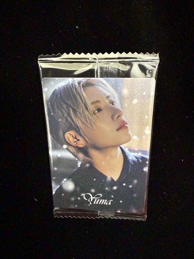 &TEAM 威化餅小卡 雪明