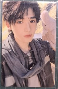 秋日記憶 周邊卡 