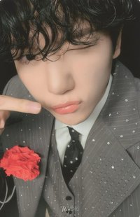 bolo4 京東 新年 特典卡 