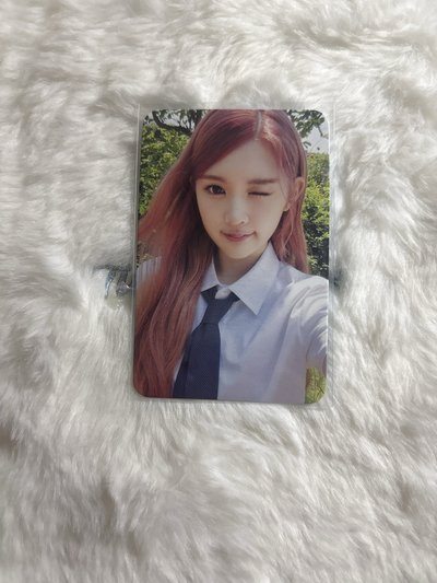 數單一 mokket 幸運卡 