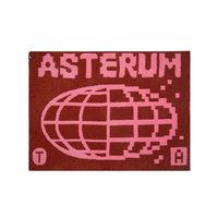 十咖啡 ASTERUM 433-10 毯子 