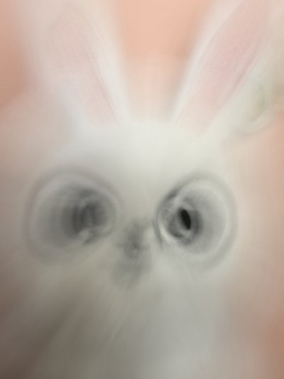 召喚你來接走你老公！(straykids 小卡）