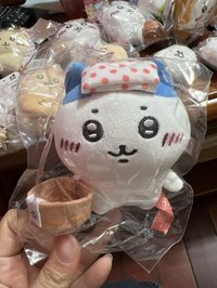 地區限定小八［溫泉地］