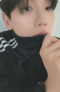 bolo4 ms 3.0 簽售卡 