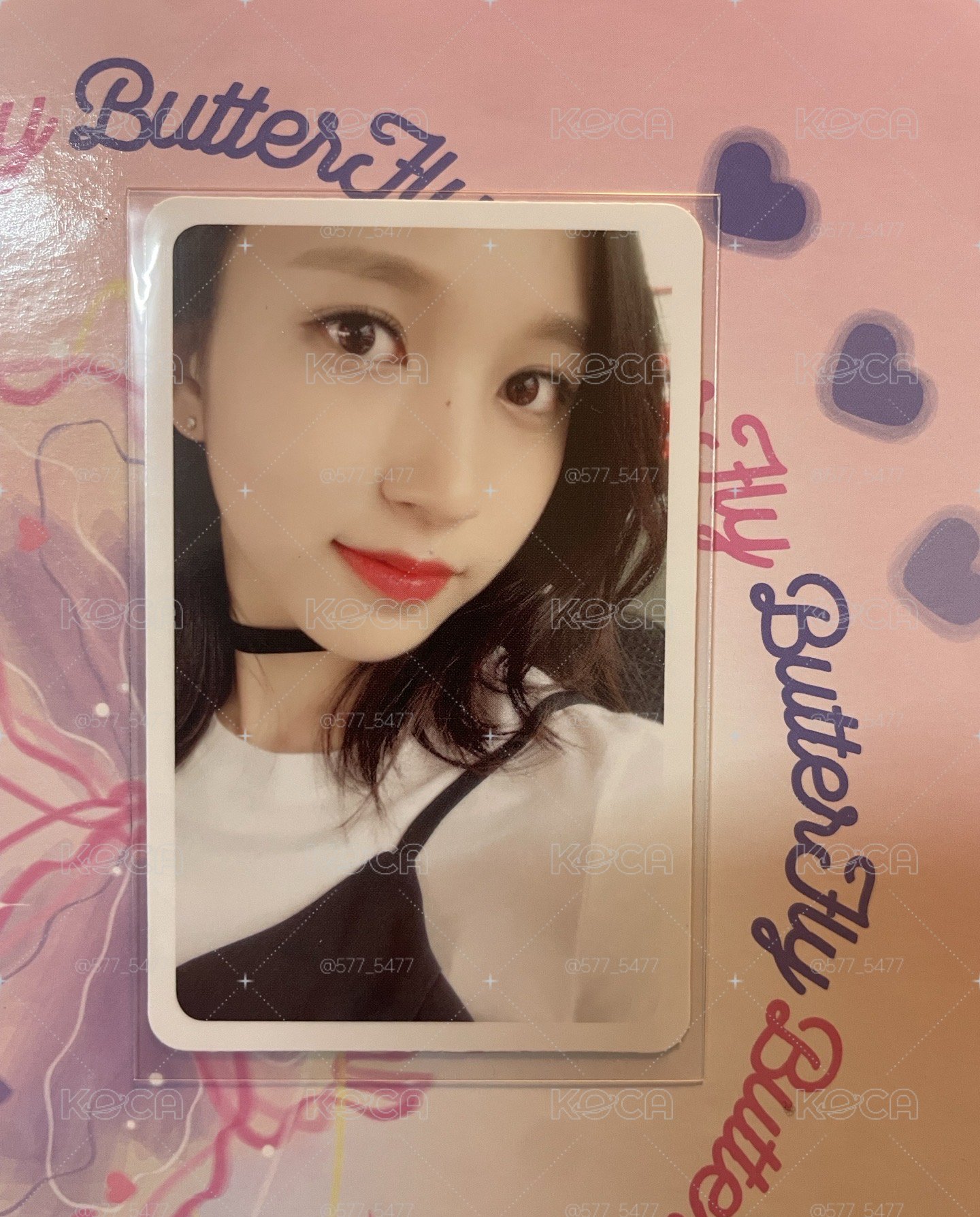 Mina 專卡