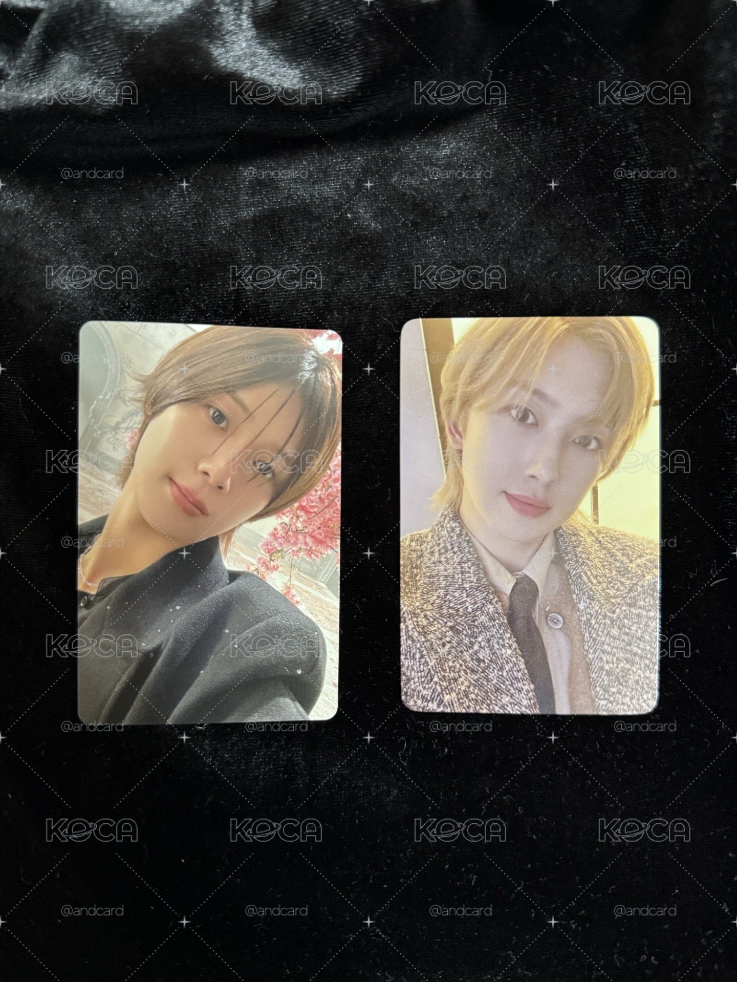 &TEAM 雪明小卡 日咖特典/通常
