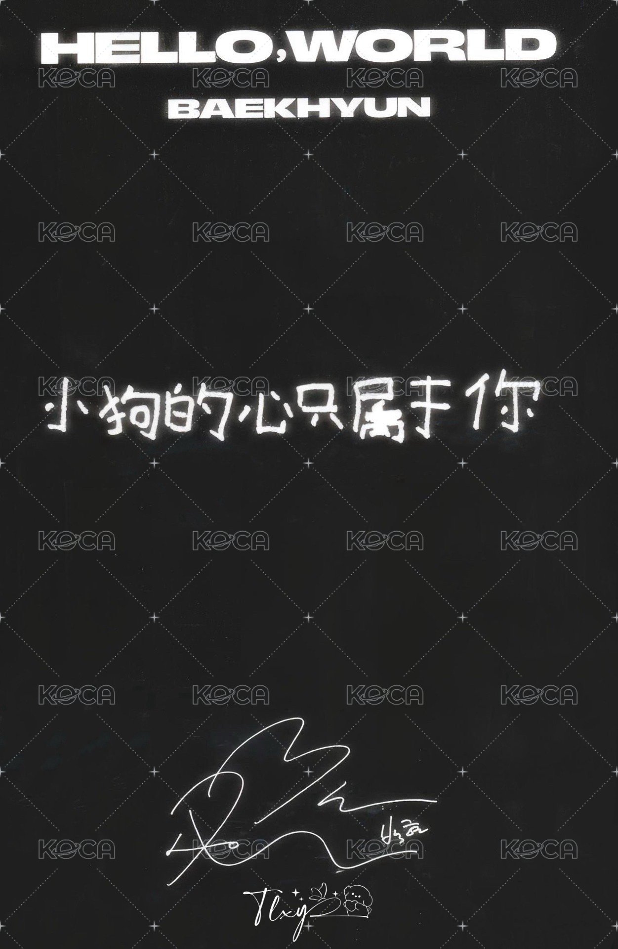 bolo4 京東 3.0 簽售卡  背面