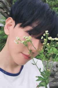 bolo4 專輯卡 WORLD VER