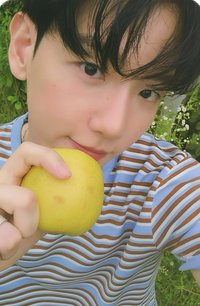 bolo4 yes24 簽售卡 