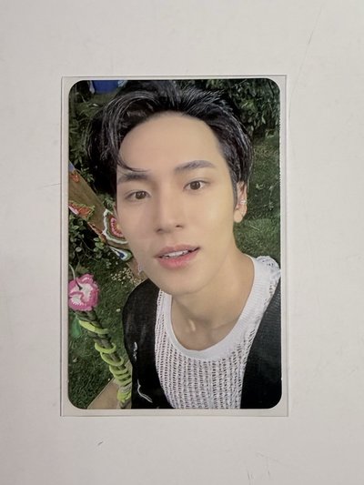 奎 迷11特典(損)🥔°﻿·˚.°﻿·˚