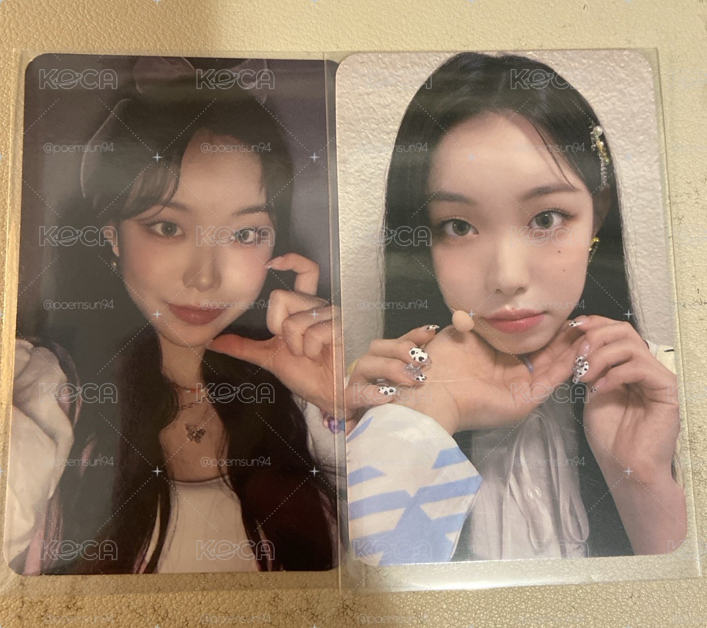 可愛小貓
