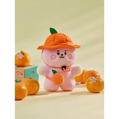 BT21橘子系列 帽包配件組