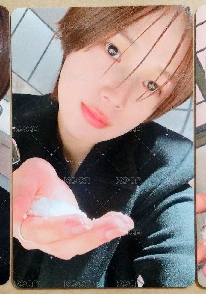 K_捧雪
