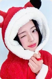 TNVS ms 10.0 特別活動/線上 簽售卡 狐狸