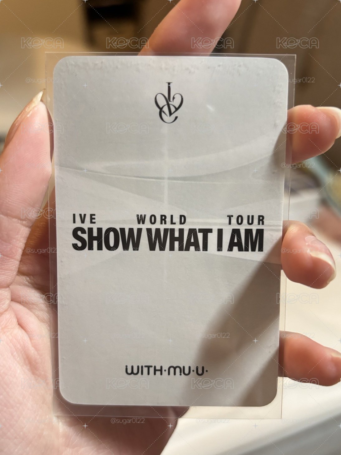 wm6栗