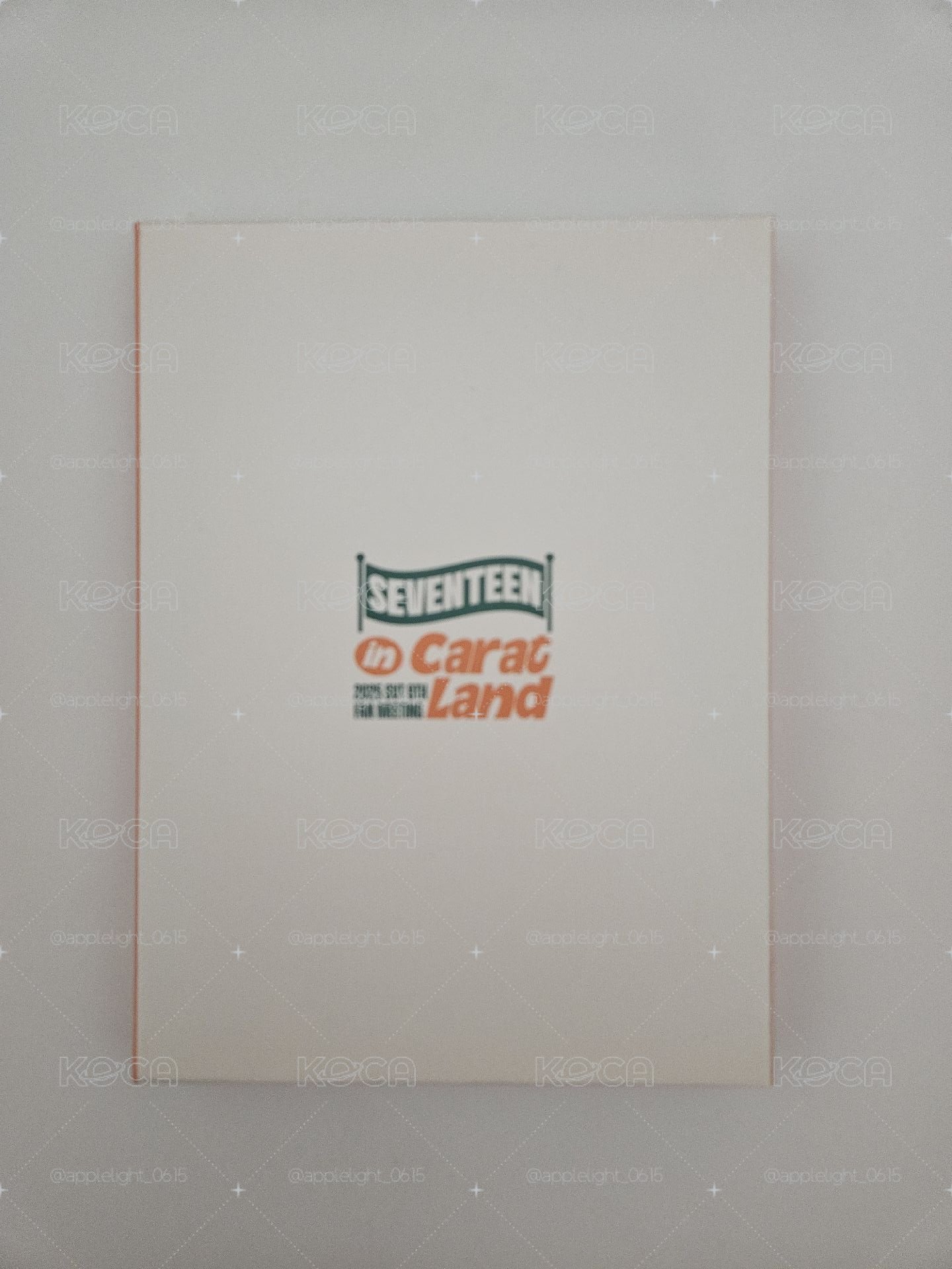 SEVENTEEN DK 碩珉 2025 Caratland 克拉島 壓克力旋轉立牌