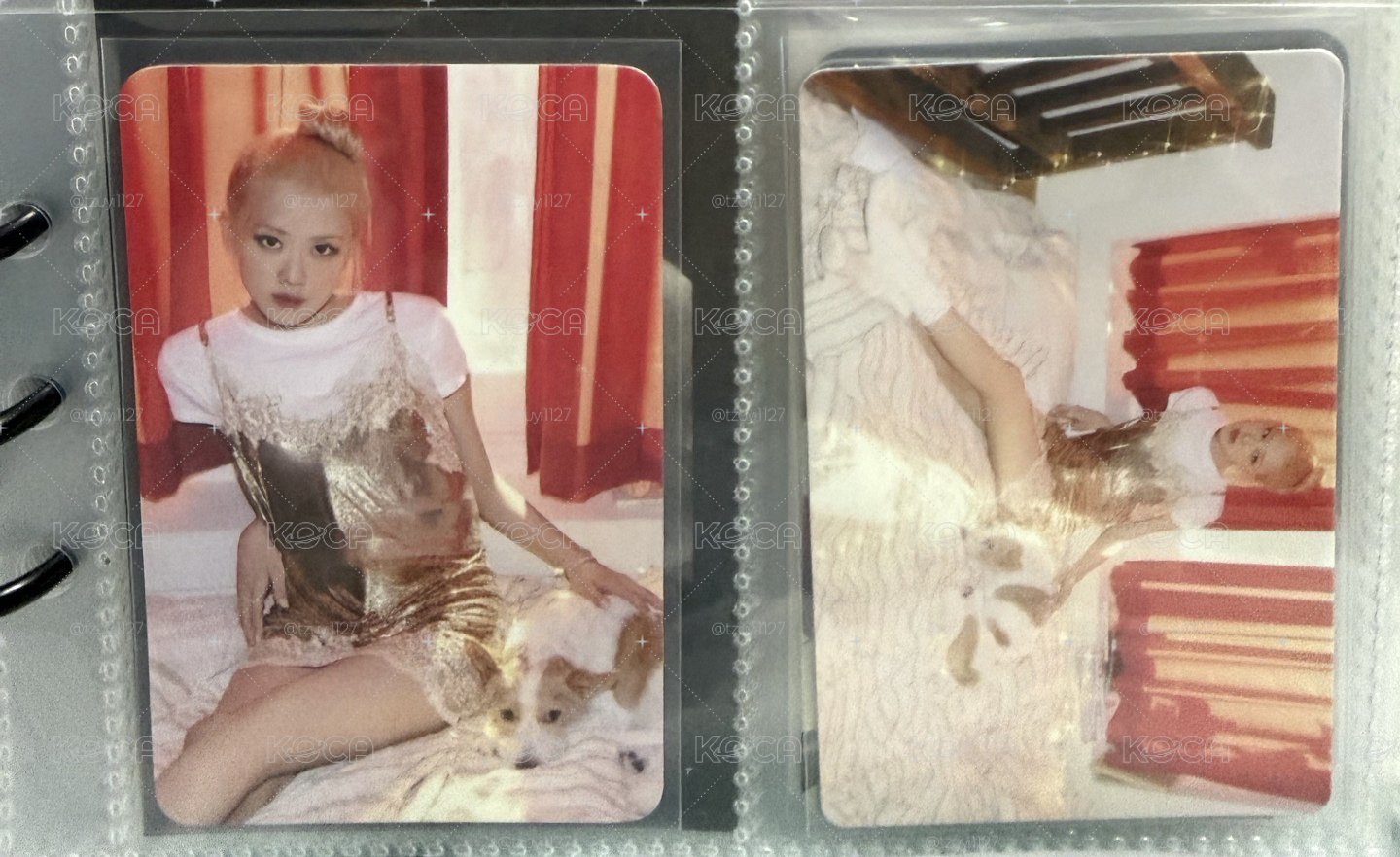 Rosé Hank聖誕年曆小卡