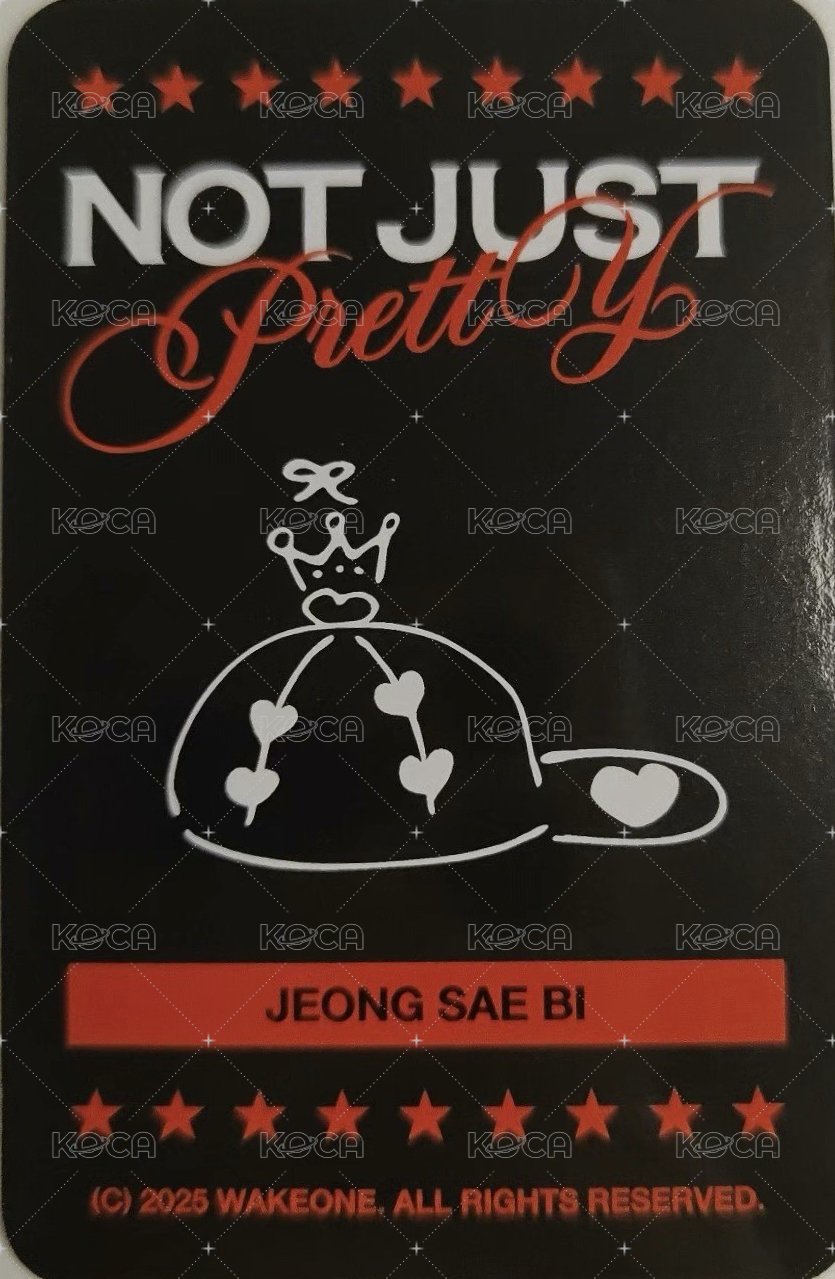 迷二MD 帽子吊飾 周邊卡  背面