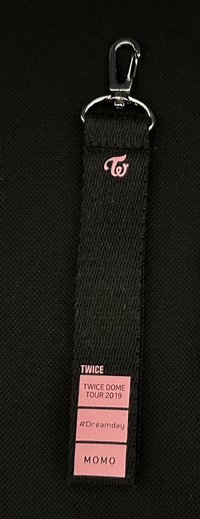 鑰匙圈吊飾 dreamday吊飾 TWICE DOME TOUR 2019