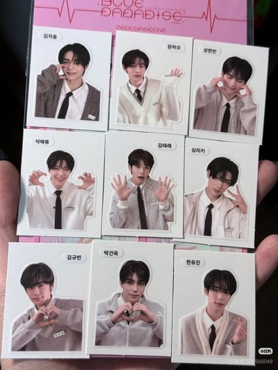 ZB1 colorgram證件照/貼紙拆售