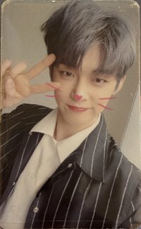 迷一 貓咪 打歌卡 貓狗公放