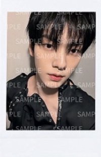 25’巡迴 日巡 隨機卡 拍立得 ver.2