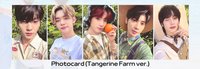 22夏寫 tangerine ver.