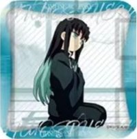 柱展 徽章 方徽