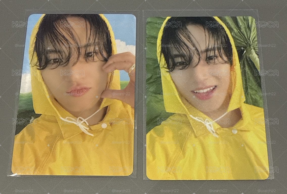 seventeen Mingyu 珉奎 mini11 克拉盤 雨衣奎*2