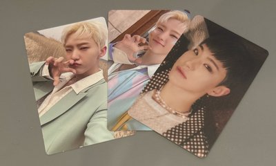 seventeen hoshi 順榮 電子專*3