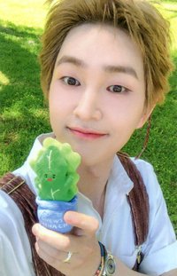 Onew Percent 快閃店 菠菜娃 周邊卡 