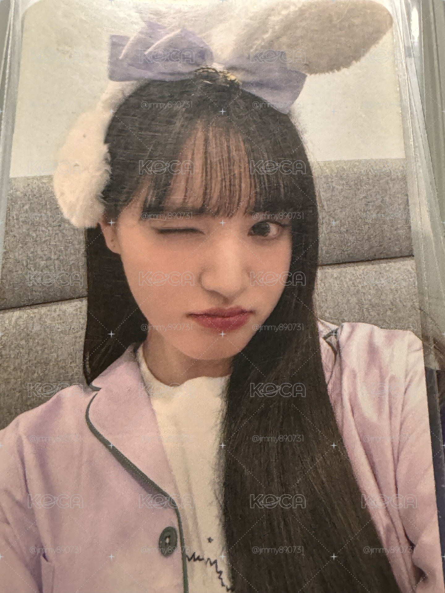 兔耳栗