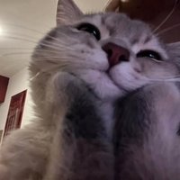 紙片奴隸👋🏻(´˘` )