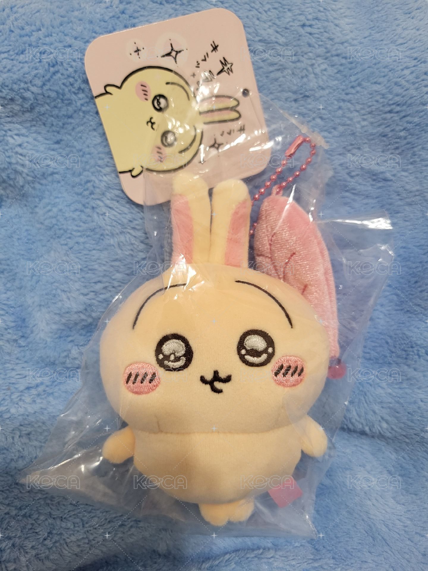 水汪汪兔
