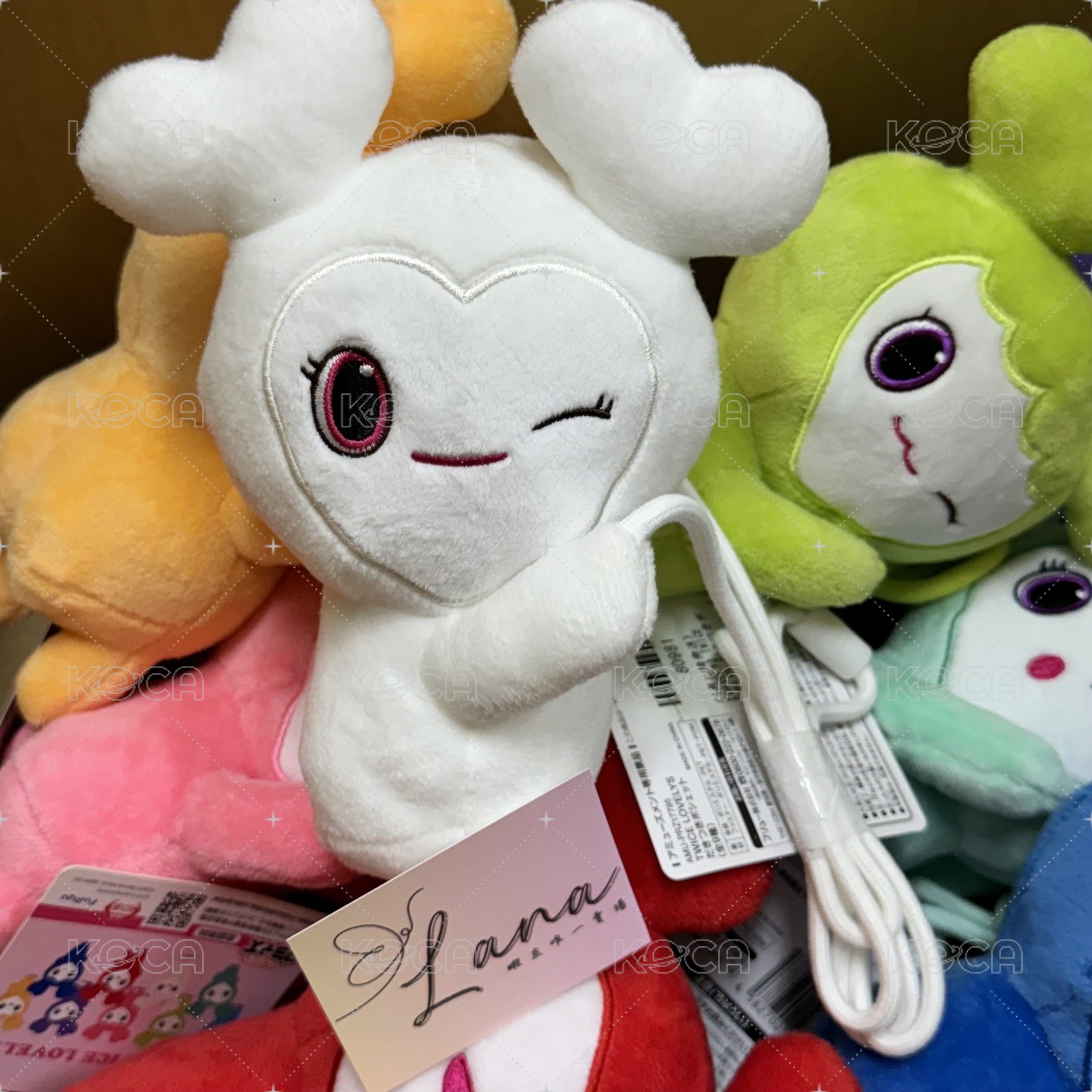 多賢
