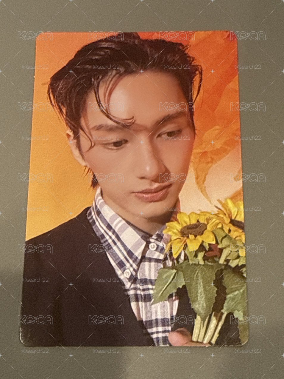 seventeen Jun 精選專 專輯 小卡 俊 