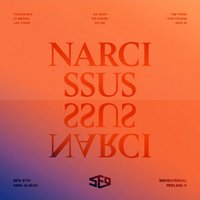 6TH MINI [NARCISSUS]