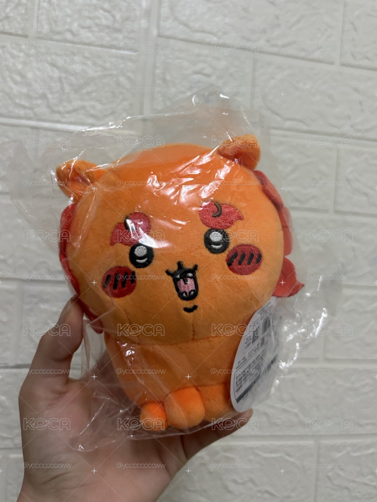 獅薩寶寶· · • • • ✤ • • • · ·