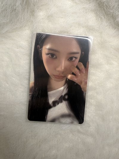 aespa Karina el簽售柚 貓抓柚