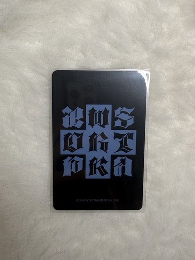 aespa Karina el簽售柚 貓抓柚