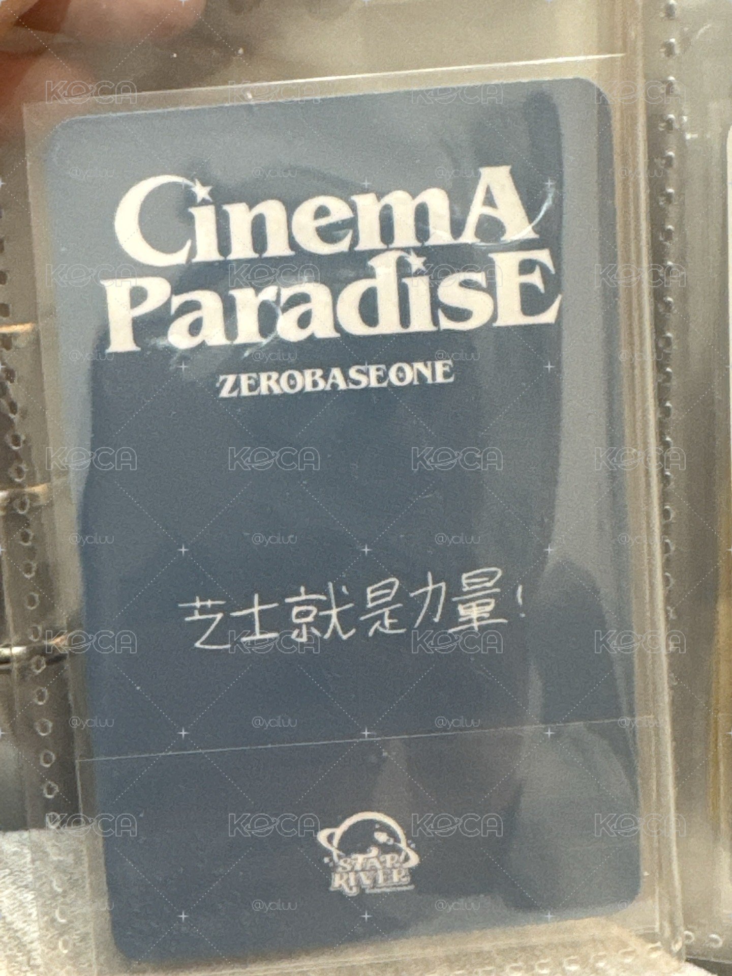 迷四 七夕玫瑰（中背）