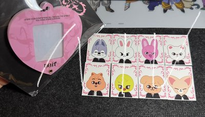 Stray Kids 梁精寅I.N證件照31張（含五星資料夾）送中國快閃SKZOO證件照一套