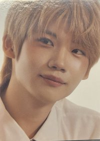 2025 K-POP ROOKIE TELECA Teleca 2025 KPOP rookie 隨機卡 