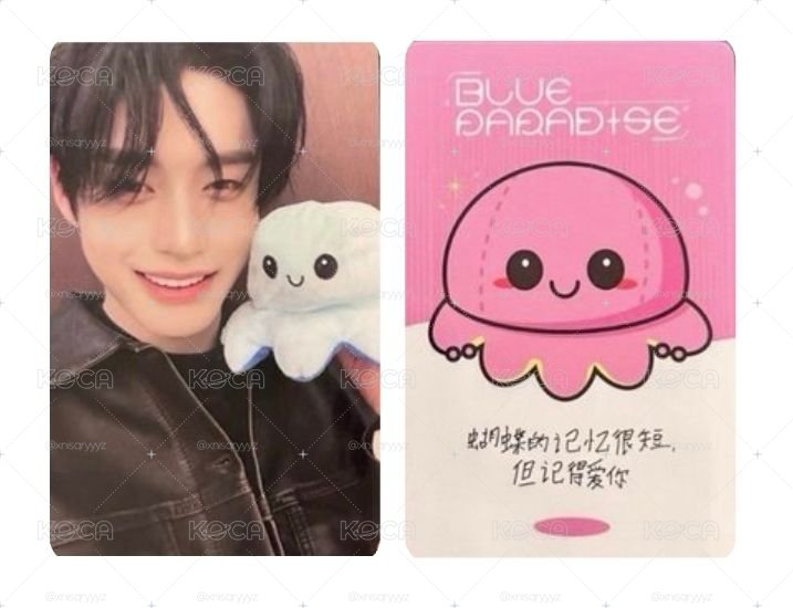 yzy 章魚雄