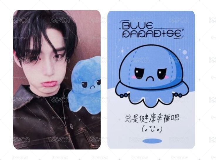 yzy 章魚雄