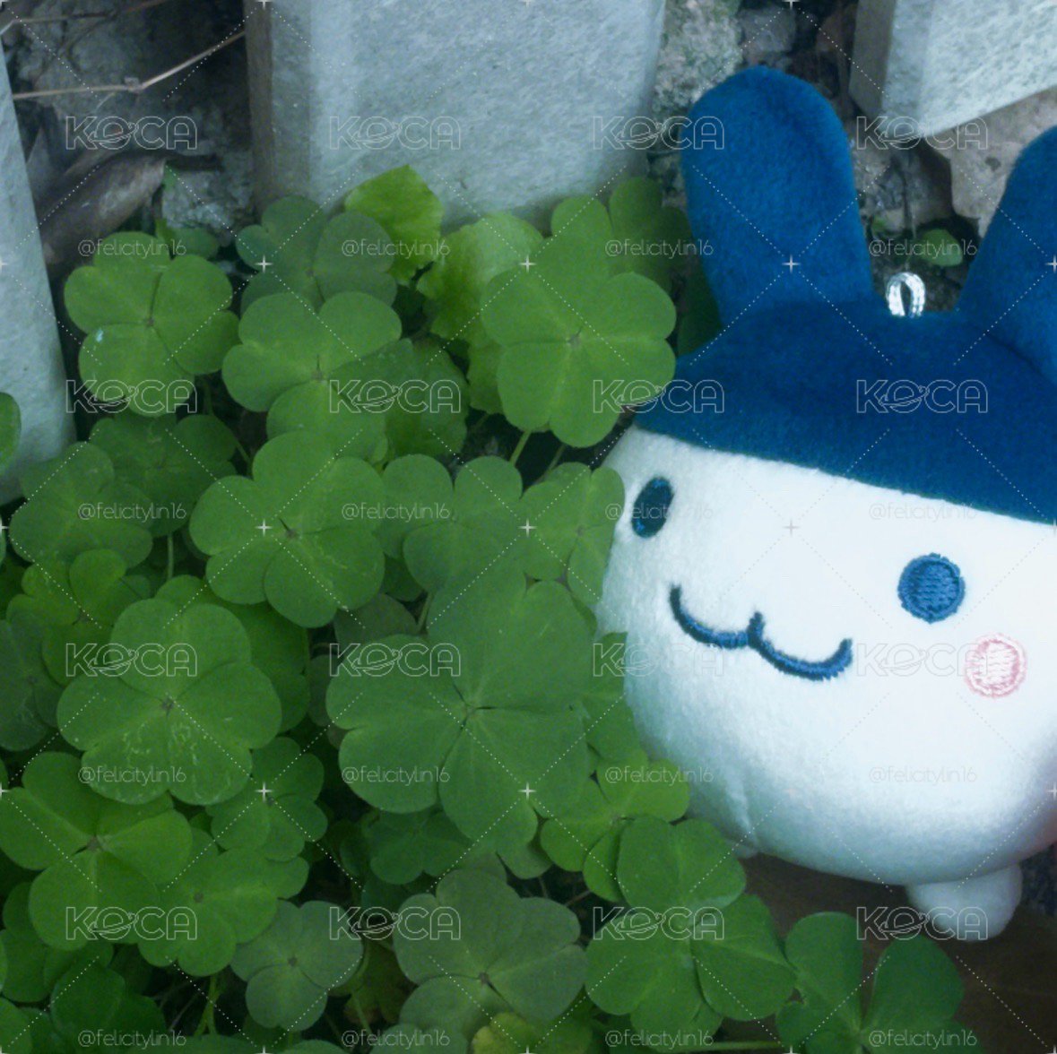 專屬賣場