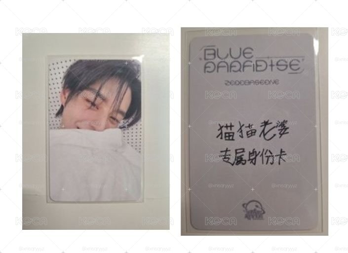 星河 被子雄