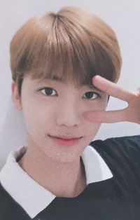 2018大隊 周邊卡 票夾卡